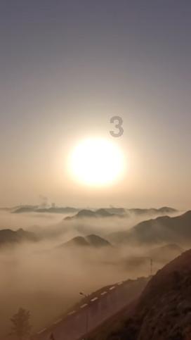 疯狂的小偷