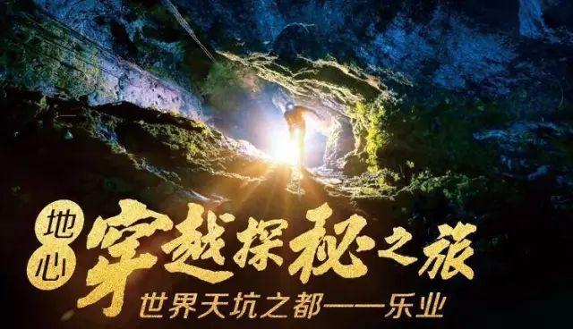 动物帮帮忙保卫家园