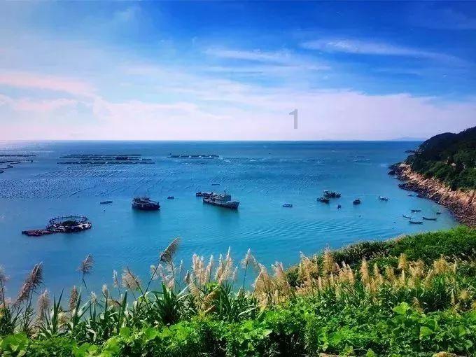 为什么说高中时期的爱情是最美好的爱情？游戏画面