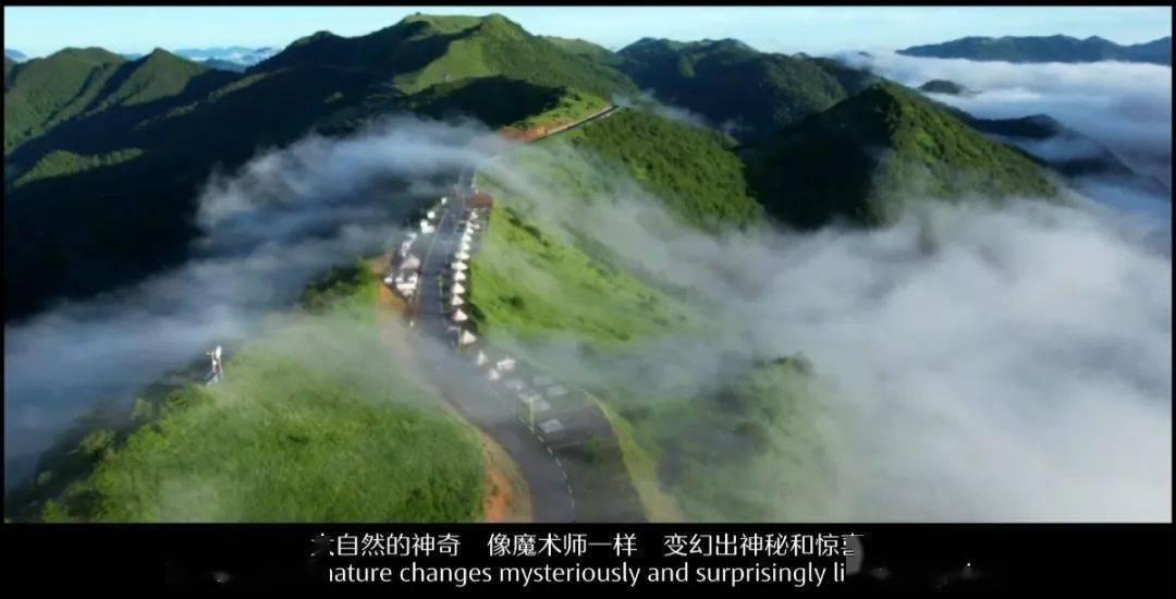 吃水果的蛇
