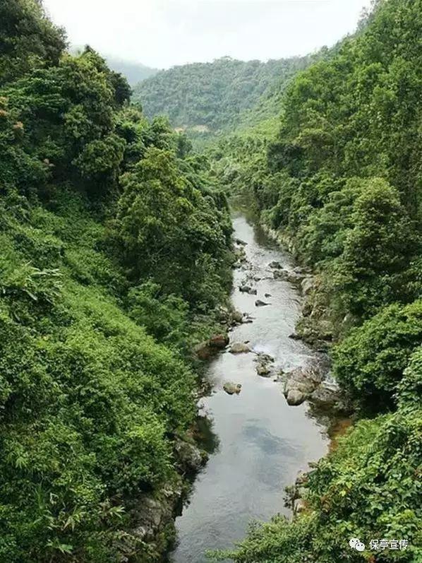 （新春走基层）甘肃成县：传“乡味” 守“年味”