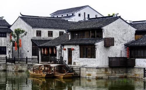 细胞分裂6