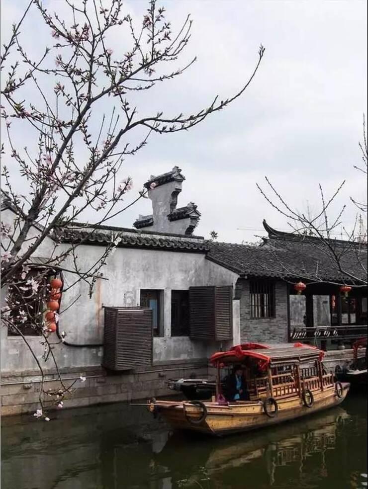 发现无限趣味——探索为什么以前不晕车现在晕车了?红迪专区